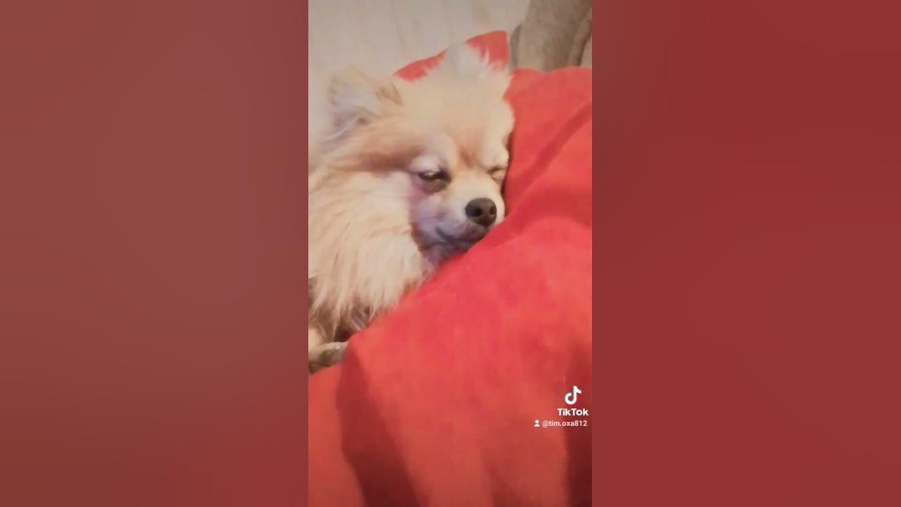 уво - YouTube