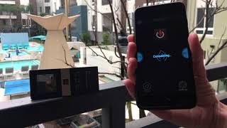 Proflame Remote Bluetooth Voice Control