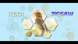 Hexa! Jigsaw - Calm puzzle game screenshot 1