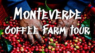Life Monteverde Coffee Farm || A Costa Rica Coffee Plantation Tour