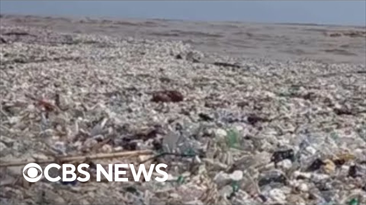 Mounds of plastic waste appear off Guatemala's shores YouTube