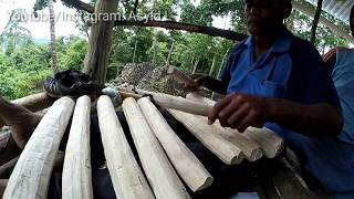 Ende-Ende Covered by La Taade | Traditional Instrument Matatou/Kapopongku/Katou | Pulau Muna