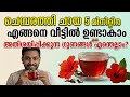 ചെമ്പരത്തി ചായ വീട്ടിൽ തയ്യാറാകേണ്ടത് ഇങ്ങനെയാണ്! 🌺 Hibiscus Tea Health Benefits!