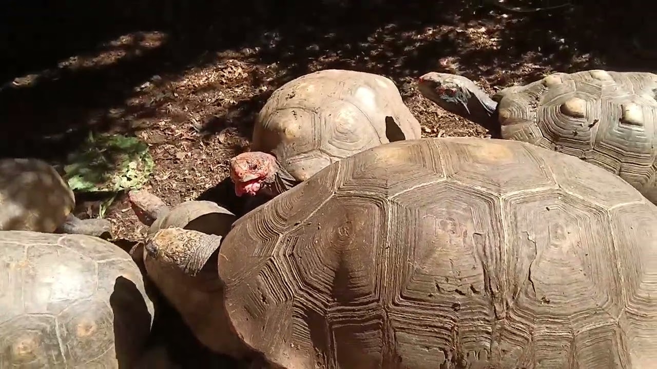 10 de janeiro de 2026