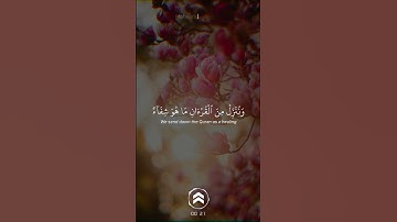 قران كريم حالات واتس | سورة الإسراء - ياسر الدوسري