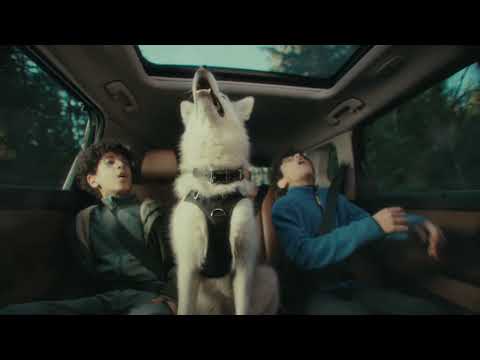 Nissan Rogue | Controlled Chaos