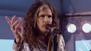 Steven Tyler - Jaded (Acoustic)