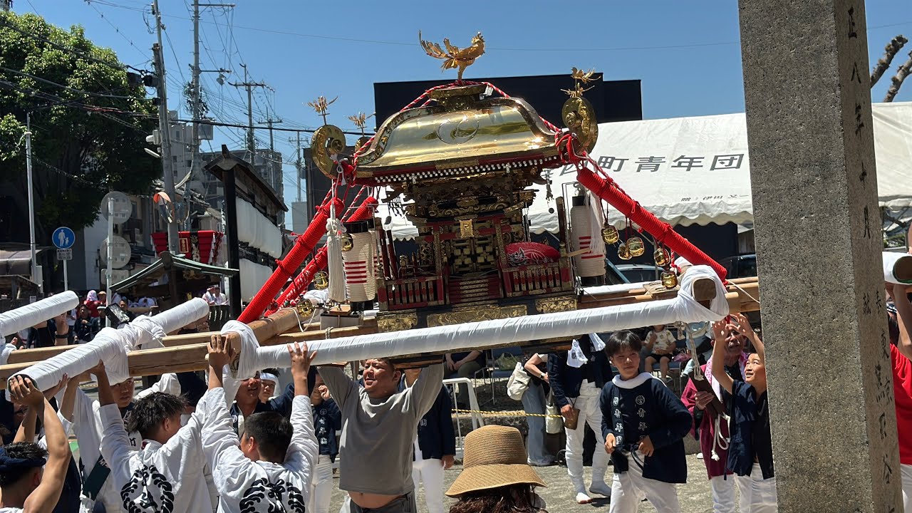 令和8年 2026年 泉佐野市 佐野太鼓台祭り 女神輿 宮入 - YouTube
