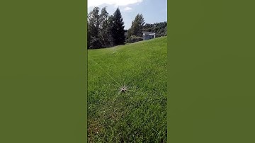 MP-Rotator 2000-90 Hunter Nozzle. Automatic Lawn Irrigation System