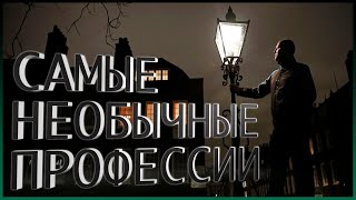 Самые необычные профессии | топ 10