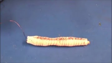 DARPA Soft Robotic Mesh Worm Robot Tech