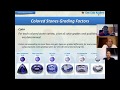 Introduction au classement des pierres de couleur webinaire en ligne par les experts de la gem color academy