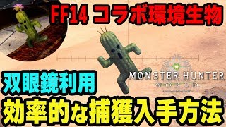 【MHW】FF14コラボ新環境生物を双眼鏡で効率的に捕獲する方法！サボテンダー、ミニテンダー、ミニフラワーテンダー出現場所と条件【モンハンワールド】