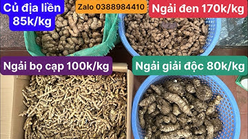 Ngải đen, ngải chống độc, nghệ bọ cạp, củ địa liền trị ung bướu, xương khớp, dạ dày, viêm xoang