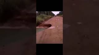 Su Akar Yolunu Bulur