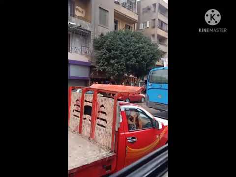 العباسيه تاريخ العباسية ميدان الجيش الضاهر مدرسه العباسية تصوير طرق مصر الجديده في عام 2021
