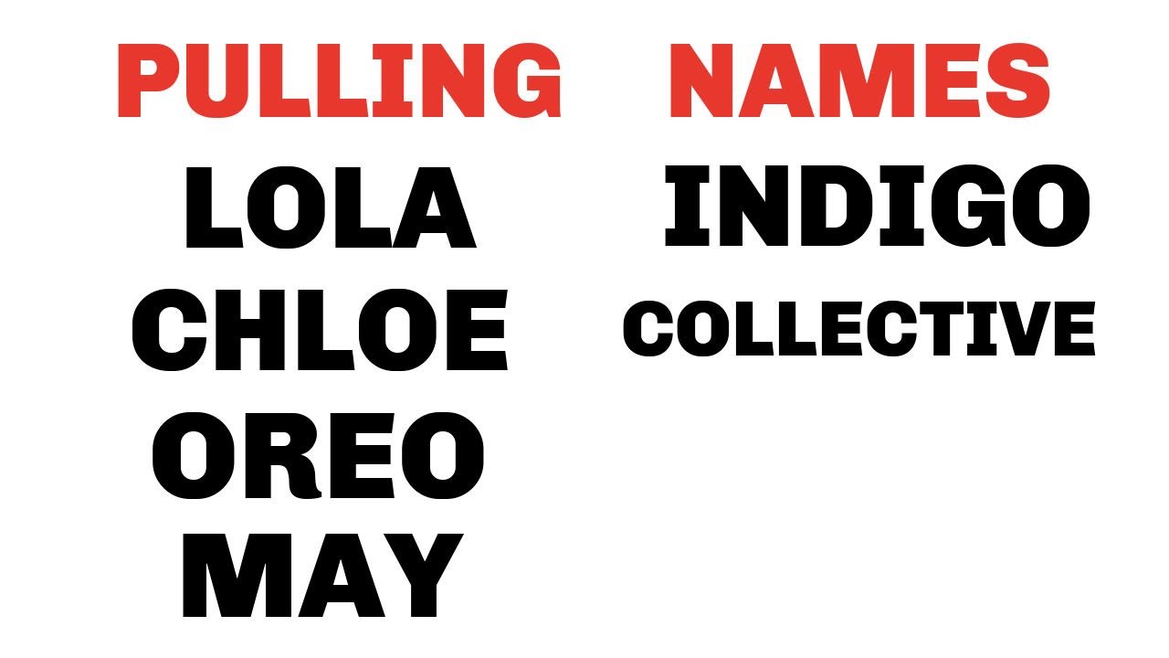 "Here Comes Big Top Humor With Earth Angel 4 The Collective" DivineMasculine TwinFlame The Tarot DJ 