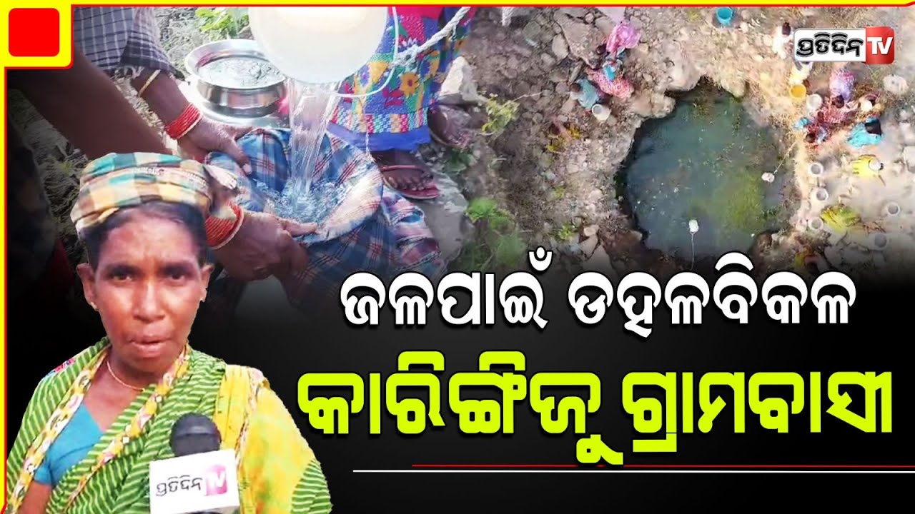 ମୋହନା ରାଇପଙ୍କା ପଂଚାୟତ କାରିଙ୍ଗିଜୁ ଗ୍ରାମରେ, ନାଳପାଣି ମେଣ୍ଟାଉଛି ଶୋଷ। Gajapati water problem.