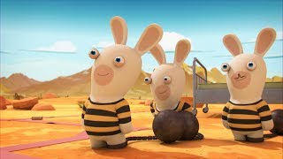 Les Lapins Crétins Invasion - Bagnards Crétins S4E11