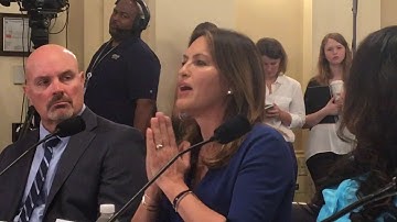 Actress Mariska Hargitay discusses the rape kit testing backlog with a congressional task force