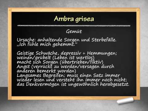 Ambra grisea - Scham wegen Ausscheidungen