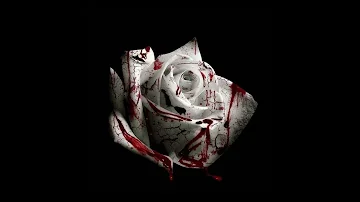 d4vd - Romantic Homicide (Official Audio)