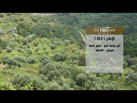 للبيع أرض في اللاذقية طريق الحفة طرجانو رقم الإعلان 203