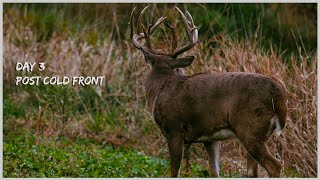 Day 3: Bowhunting the Backend of a Cold Front