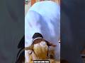 Queen 👑 #shorts #trending #cow #بقرة #بوتين بوتي #reels #sapi #হাম্বা #shortvideo #ytshorts #viral