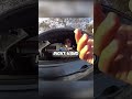 Cop Sticks to His Lie, Handicapped Woman Gets an Impossible Ticket #subscribe #police #bodycam