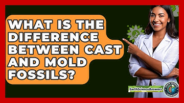 What Is The Difference Between Cast And Mold Fossils? - Earth Science Answers