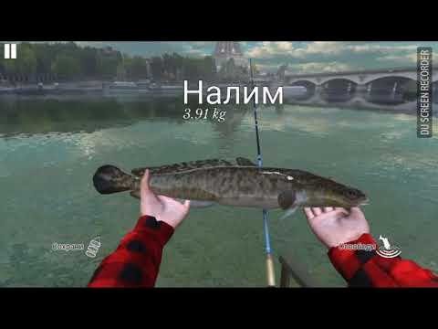 На что ловить осетра в ultimate fishing