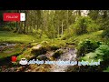 اغاني فيروز Fairouz فيروزيات الصباح فيروزيات يسعد صباحكم مع صوت ماء و صوت عصفور 