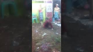 Download Lagu 28 Desember 2017 MP3