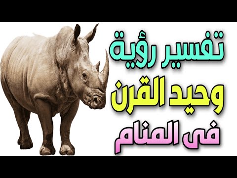 تفسير رؤية وحيد القرن فى المنام لابن سيرين