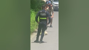 Police Escort Sloth as It Slowly Crosses Road || ViralHog