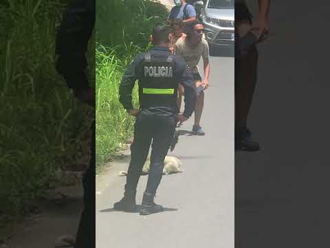 Police Escort Sloth