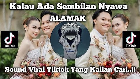 Kalau Ada Sembilan Nyawa | ALAMAK | COVER REGGAE SKA | VIRAL SOUND TIKTOK TERBARU 2025