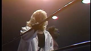 The Fabulous Freebirds vs. Ted DiBiase & Missing Link & Chavo Guerrero (1987/03/20)