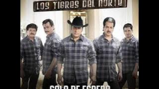 Los Tigres del Norte - El Hijo del Pueblo
