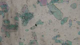 Microscopic view of Golden Acrylics interference paint