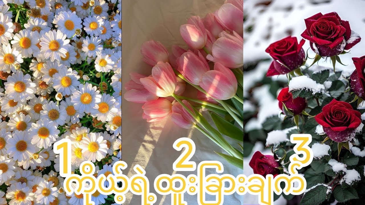 #ကိုယ့်ရဲ့ထူးခြားချက်