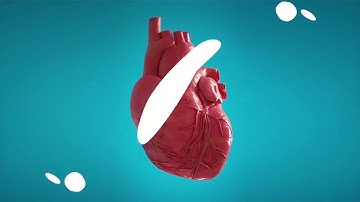 Shape Elements And Titles | After Effects Template | After Effects Project Files - Videohive tem...