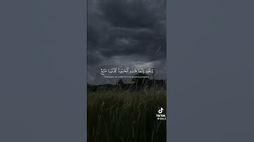 "تلاوة تهز القلب... اسمع وتأمل 🎧"