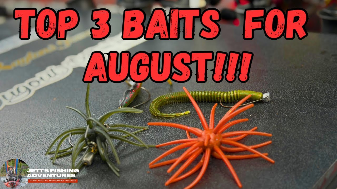 Top 3 Bass Fishing Baits for August 2026 | Catch More Summer Bass!