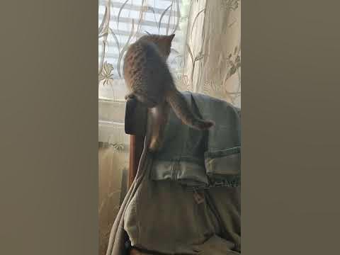 Деловая😎😎😎 - YouTube