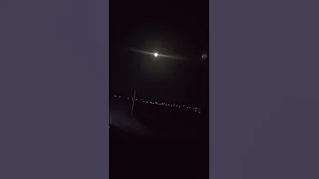 بوسة مني على الايد 