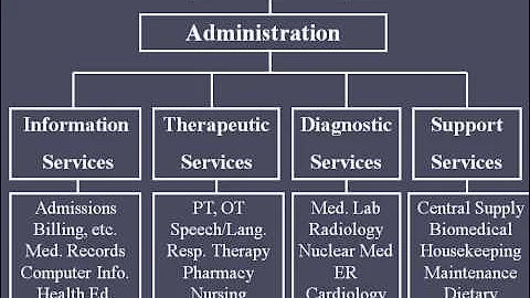 Hospital Organizational Structure