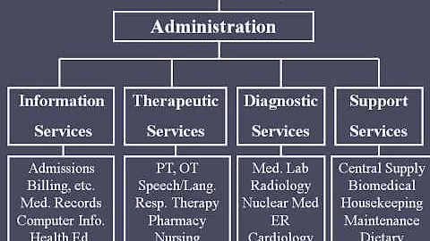 Hospital Organizational Structure - DayDayNews