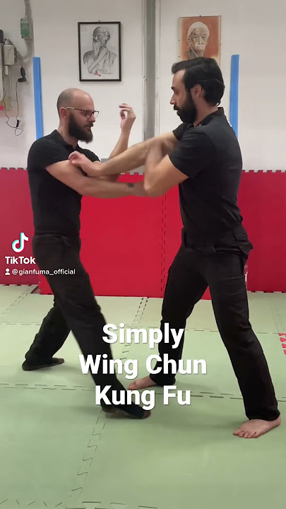 Simply Wing Chun Kung Fu